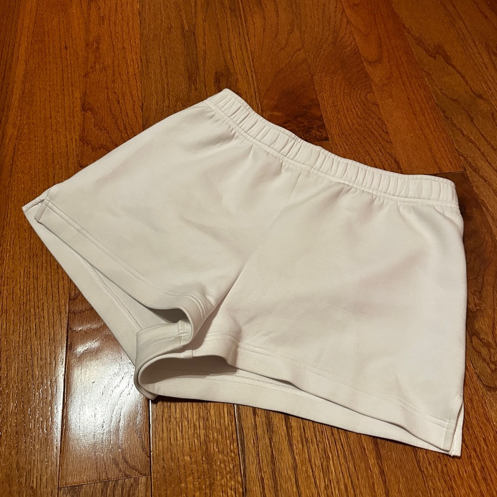 Aritzia Shorts